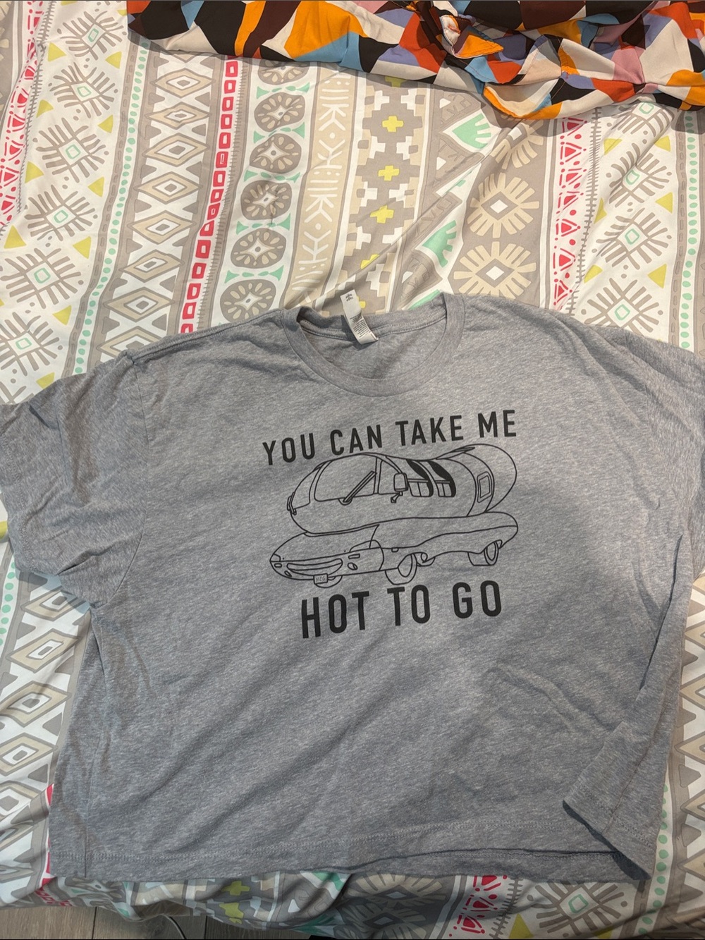 Gray Graphic Tee - You Can Take Me Hot To Go